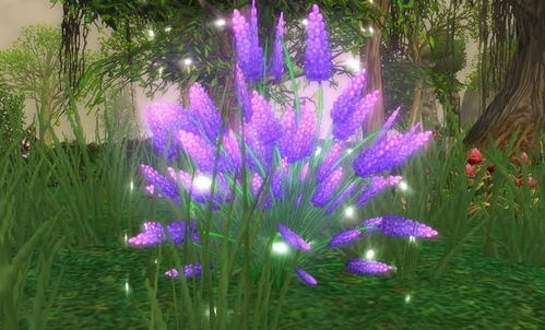 栽培环境要重视