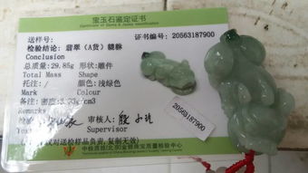 河北保定服务模式