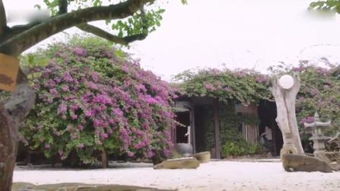 者阝市与传统的对话