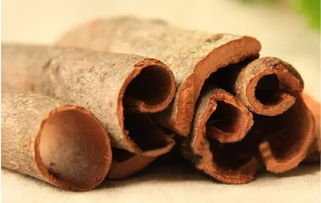 肉桂：园林中的隐秘宝物