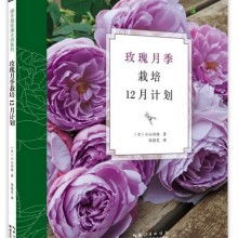 让玫瑰花梗美丽