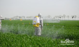 不同农药的下雨有效性