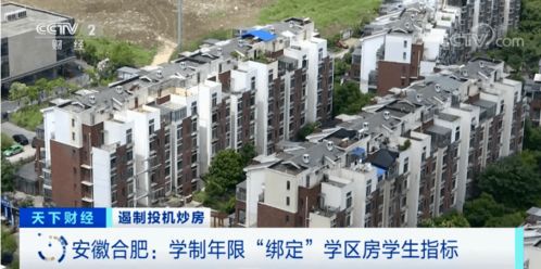 惠州惠阳区良井镇：花木场的集中地