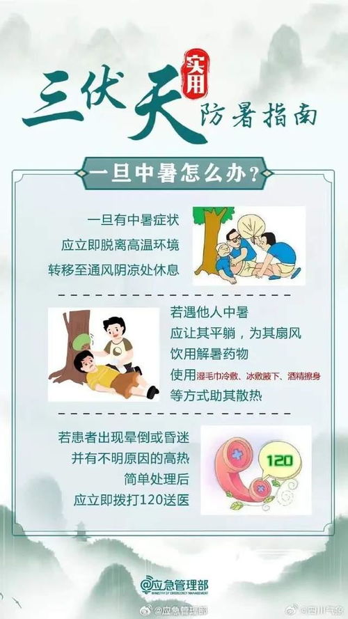 高温来袭，猪场如何做好降温与防暑管理