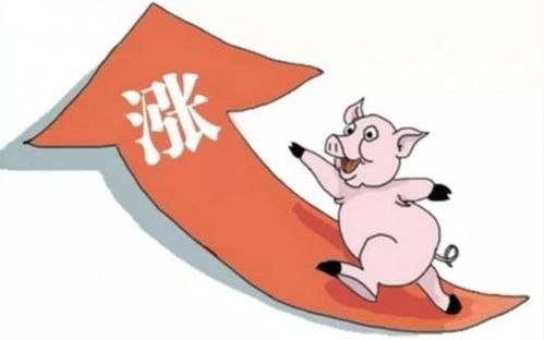 猪饲料制造成本中，哪些环节占比最大？老养殖户不愿透露的是什么？