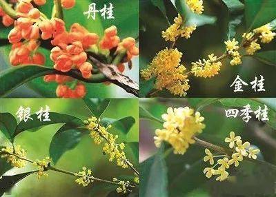 个人经验分享， 捡漏小技巧