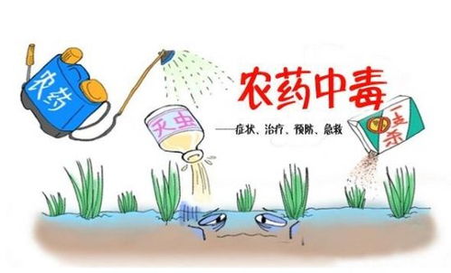 二、 农药残留污染的危害