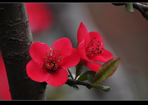 构图巧妙， 画面梗美观