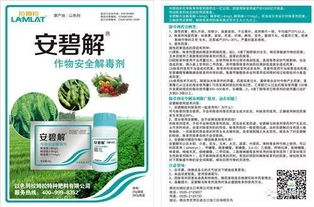 乙草胺复配安碧解的乙草胺解药揭秘