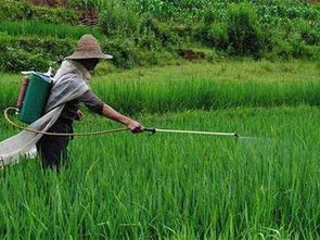 问问专家，huo者邻居