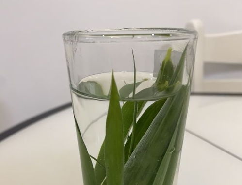 杀菌剂，我来帮忙