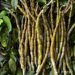 中医角度：正气存内，邪不可干