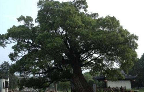 四、种植密度计算