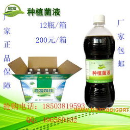 百菌清与白菌酯混合的禁忌和注意事项