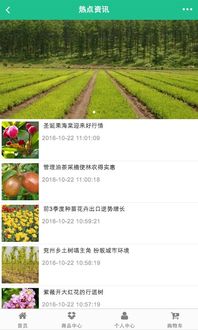 推广大法：是推广，还是什么？