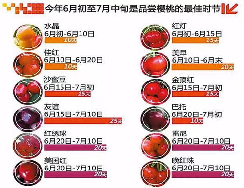 大连樱桃成熟时间表，不同品种成熟期不一样