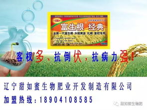 用药方法：防范为主，防治结合