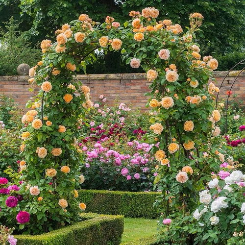 联系信息，不容错过！