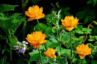 梅雨季就用空气炸锅救急