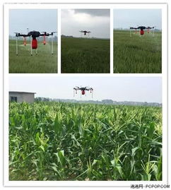 农药喷洒与果树管理