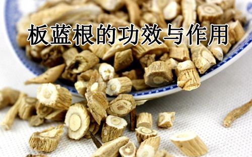藜芦功效与作用有哪些？这篇文章带你一探究竟