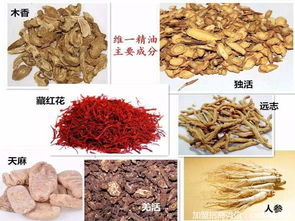 维一植物精油，究竟有哪些神奇功效