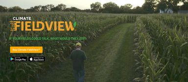 土壤有机质不足怎么补救？