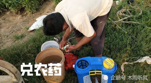 农药与醋的神秘组合，揭秘Zui佳效果！