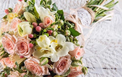 花语与社交礼仪