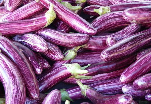 茄子：紫茄子， 好味道