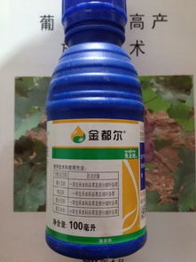 红薯田除草剂哪家强？