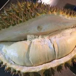 如何快速催熟榴莲？这些方法让你停不下来