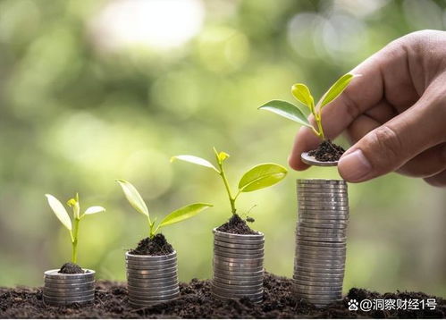 金钱树的寓意与财富之道，如何运用在现实生活中实现财富增长