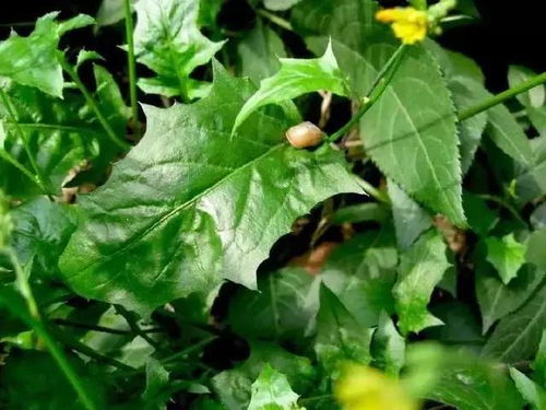 二、 干燥处理：省时80%的控水秘诀