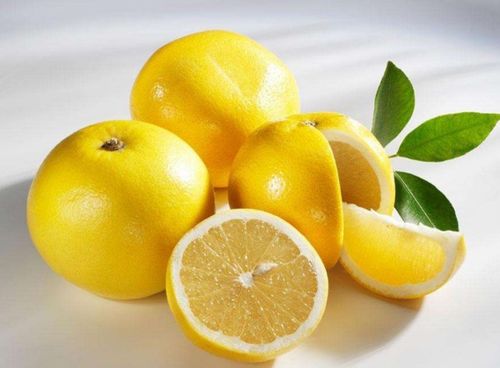 柚子籽种植方法