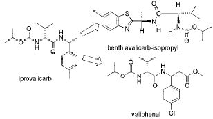 杀菌剂的作用方式揭秘