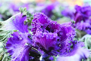 一、 选择合适的保暖措施