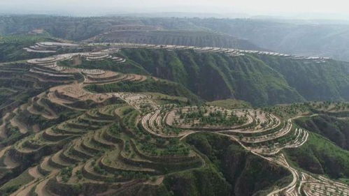 高标准农田改过 为丰收保驾护航