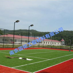 中国田径协会指南， 铅球场草选黄金组合