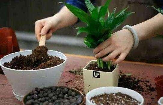 进阶控酸术：水肥联动系统