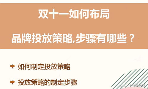 步骤二：投放策略