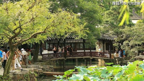 桃树品种的历史背景