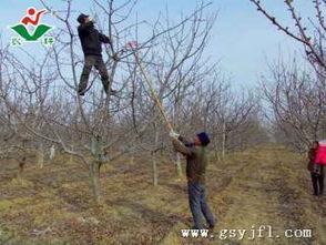 清园的具体时间