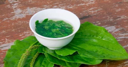 抖音“密植增产法”的陷阱