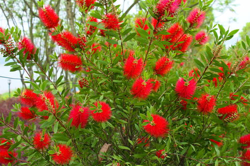 找个暖和点的地方先