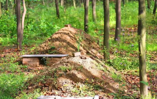 心理健康的小帮手