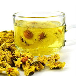 菊花茶代加工价格是多少？这份价格表