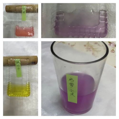 玫瑰花，酸酸的还是碱碱的？