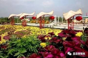 香草飘香， 养生之道