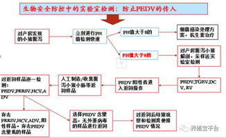 猪场免疫失败探因：解析兽医防控策略失误